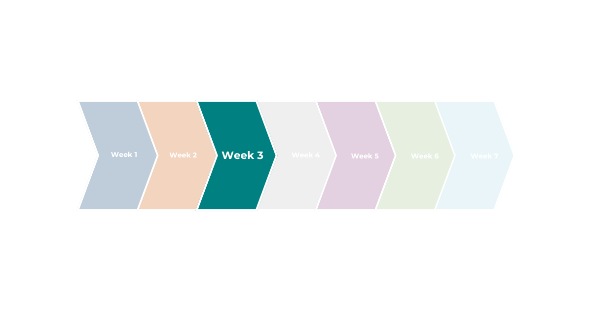 Week three of AI Search Mastery